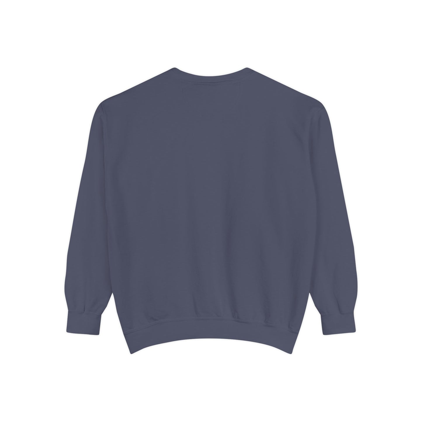 ALC Crewneck Sweatshirt - Denim Blue