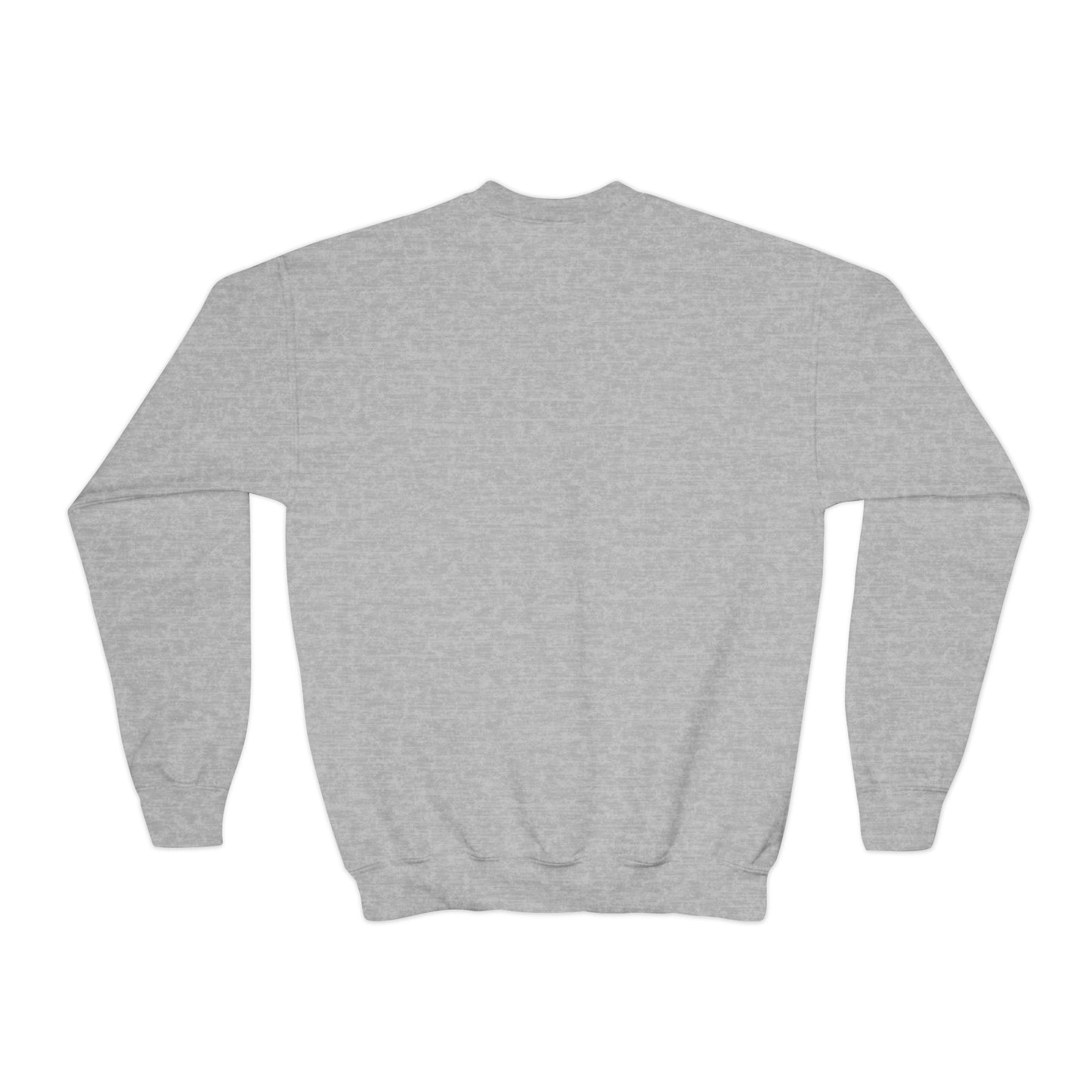 Shippan Youth Crewneck Sweatshirt - Grey